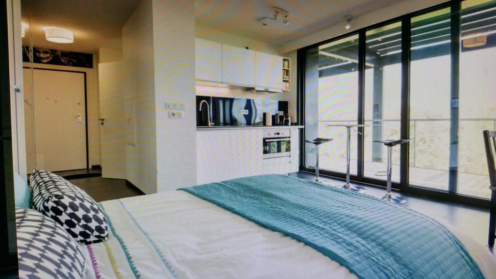 Studio Avec Terrace Docks Страсбург Экстерьер фото